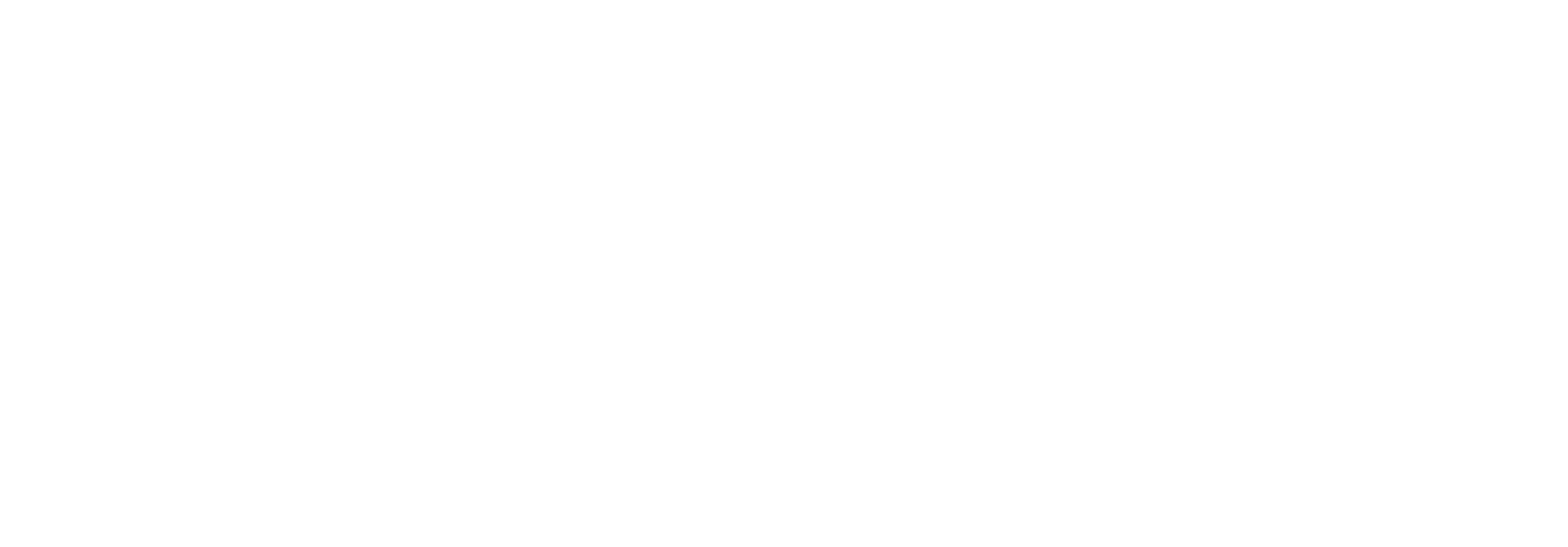 Next Advanced Solutions